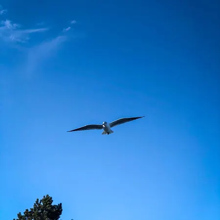 Zur Salzwiese Feriehus Holnæs