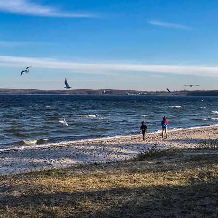 Zur Salzwiese Feriehus *