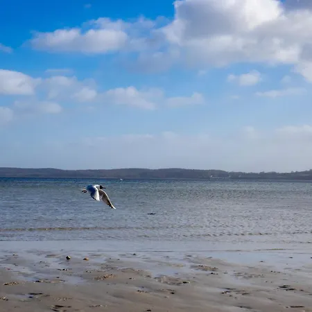 Zur Salzwiese * Holnæs