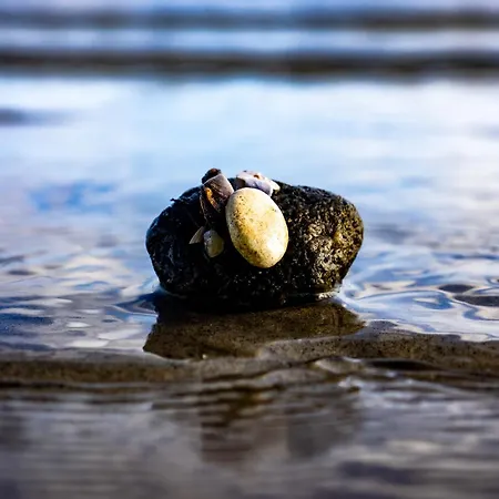 Zur Salzwiese Feriehus