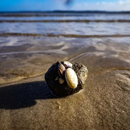 Feriehus Zur Salzwiese Holnæs